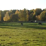 Gartentraum Mit Tollem Rasengarten Karlshagen