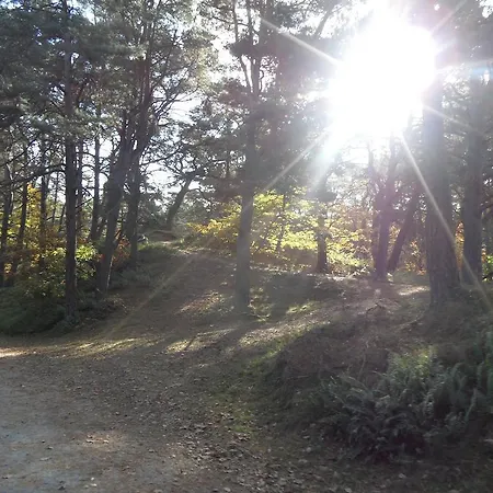 Apartmán Gartentraum Mit Tollem Rasengarten *