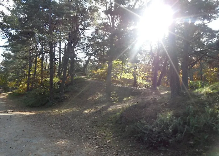 شقة Gartentraum Mit Tollem Rasengarten *